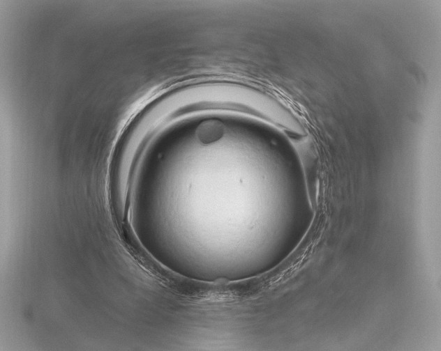 X0000116280248200912141354