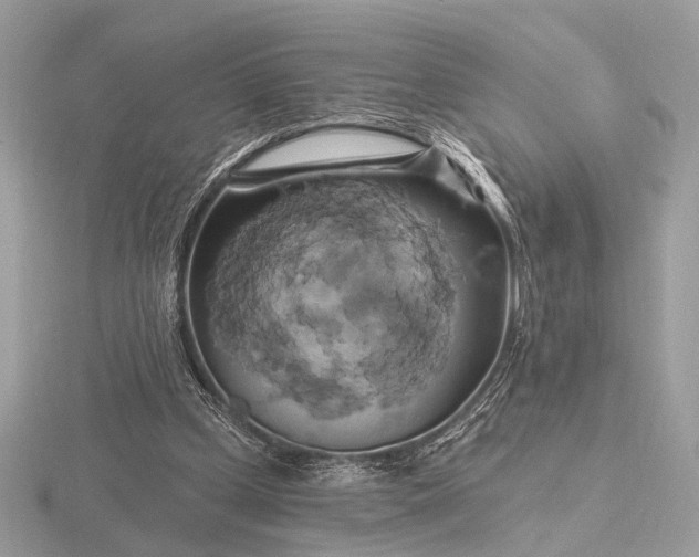 X0000116280249200912141354