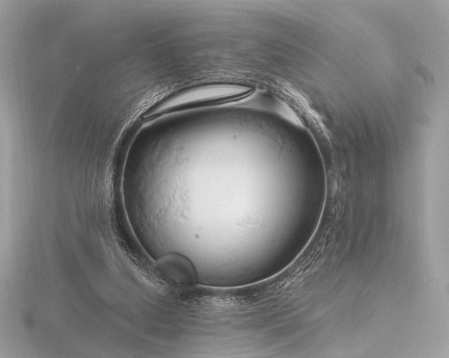 X0000116280250200912141354