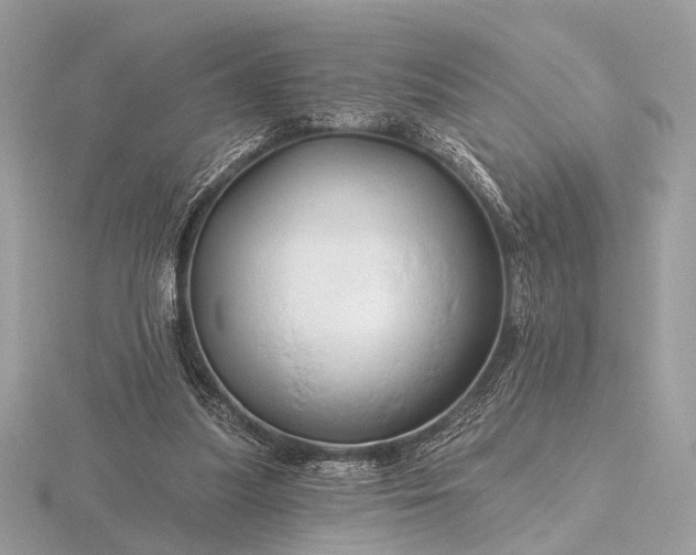 X0000116280251200912141354