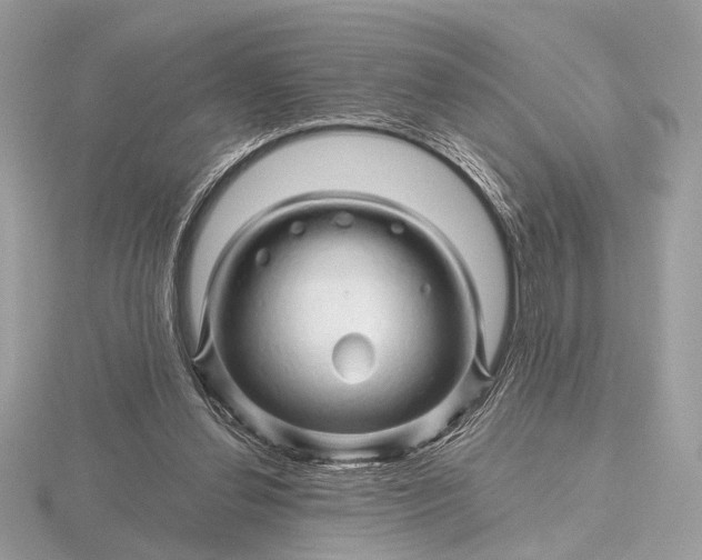 X0000116280252200912141354