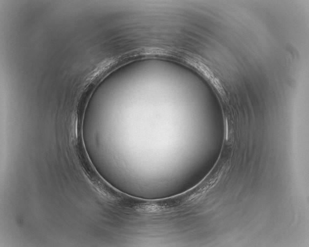 X0000116280253200912141354