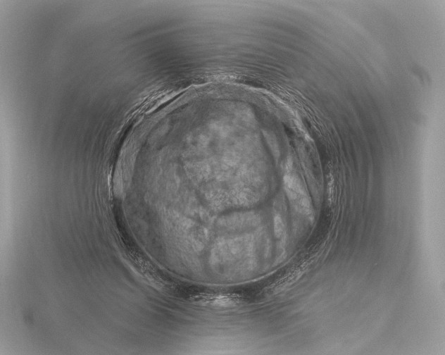 X0000116280254200912141354