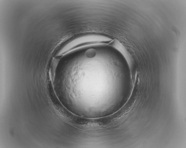 X0000116280256200912141354