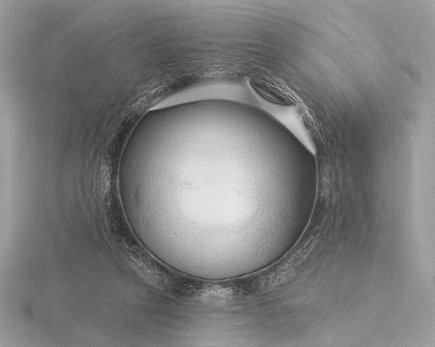 X0000116280257200912141354