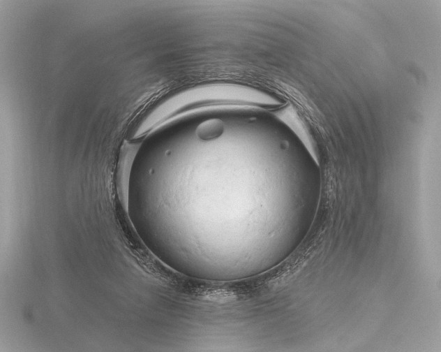 X0000116280258200912141354