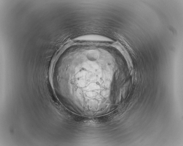 X0000116280259200912141354