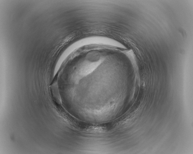 X0000116280260200912141354