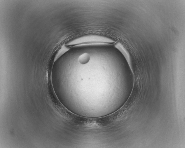 X0000116280262200912141354