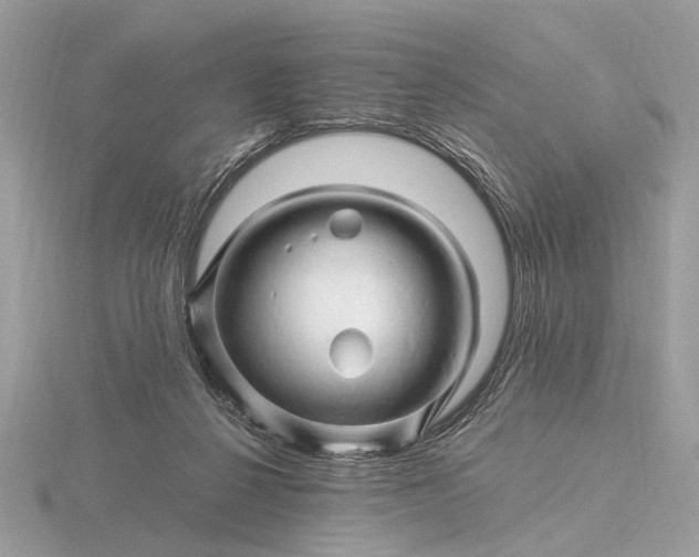 X0000116280264200912141354