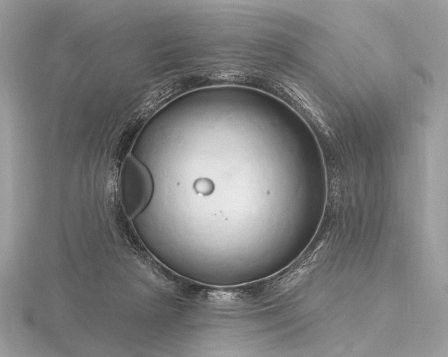 X0000116280265200912141355