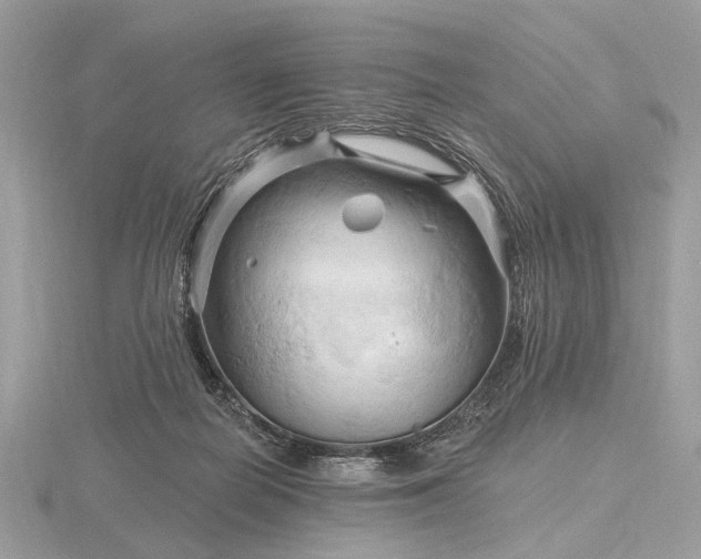 X0000116280266200912141355