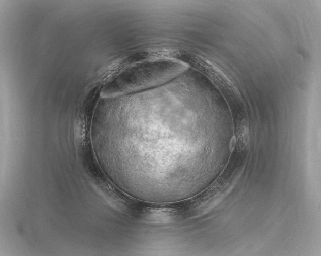 X0000116280268200912141355