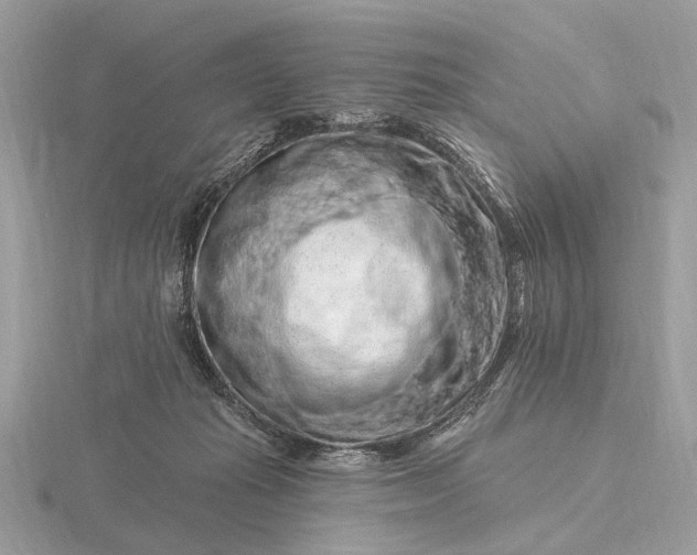 X0000116280269200912141355