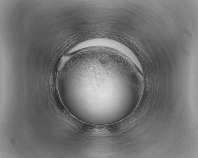 X0000116280270200912141355