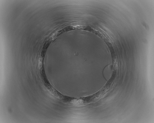 X0000116280271200912141355