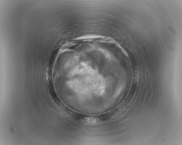 X0000116280272200912141355