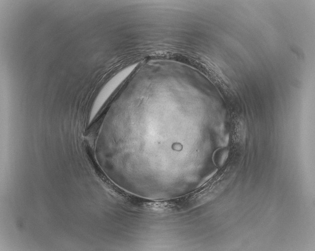 X0000116280273200912141355