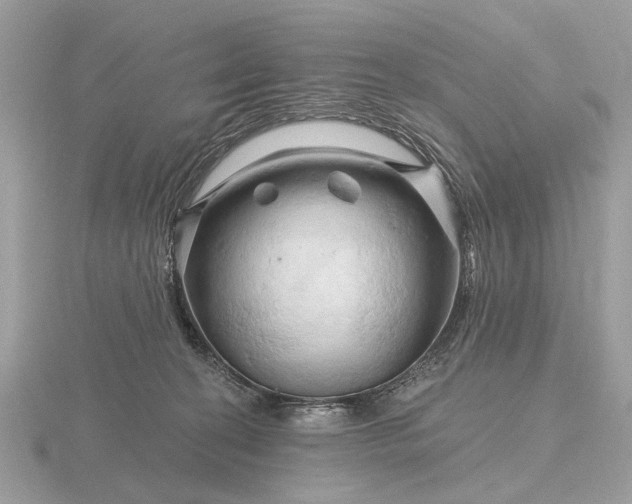 X0000116280274200912141355