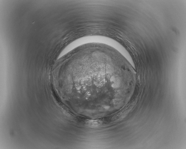 X0000116280277200912141355