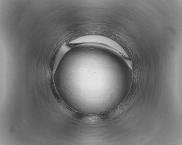 X0000116280278200912141355