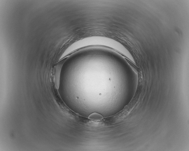 X0000116280280200912141355