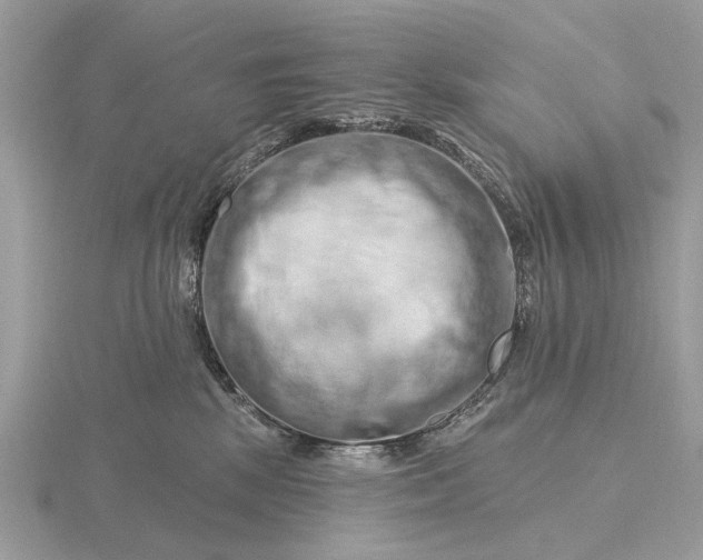 X0000116280281200912141355