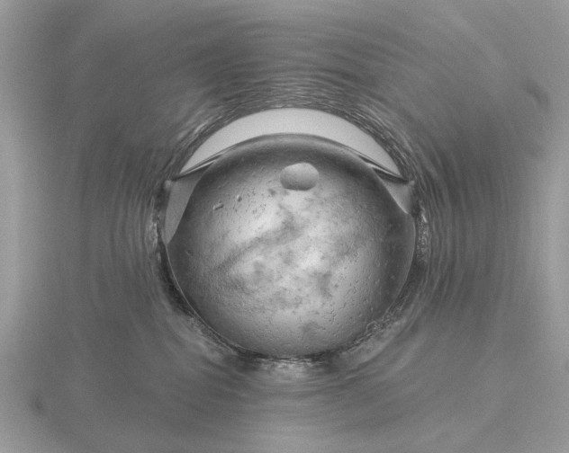 X0000116280282200912141355