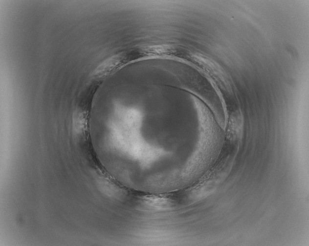 X0000116280284200912141355