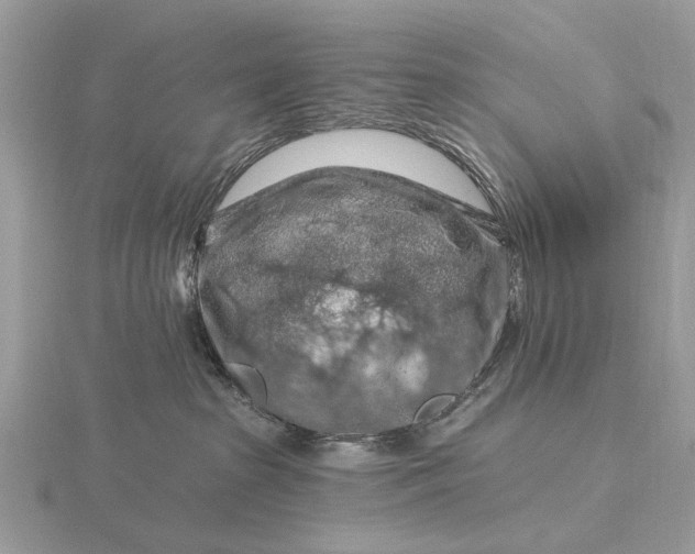 X0000116280285200912141355