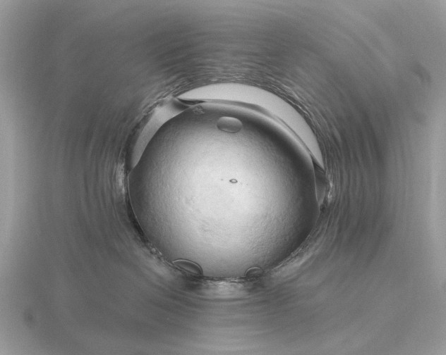 X0000116280286200912141355