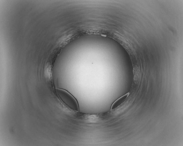 X0000116280287200912141355