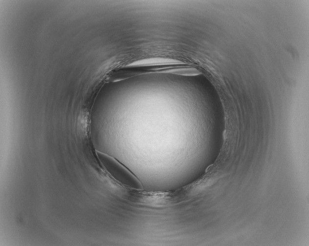 X0000116280288200912141355