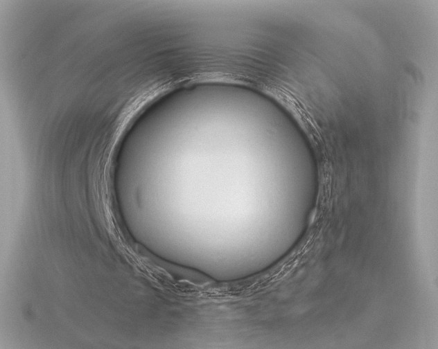 X0000116280289200912141354