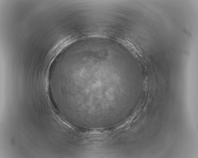 X0000116280290200912141354