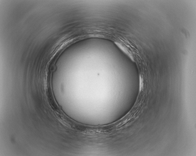 X0000116280291200912141354