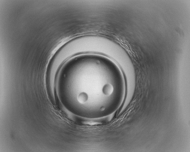 X0000116280292200912141354