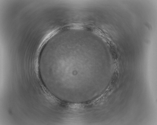 X0000116280293200912141354