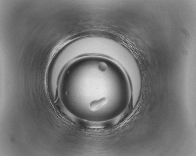 X0000116280294200912141354