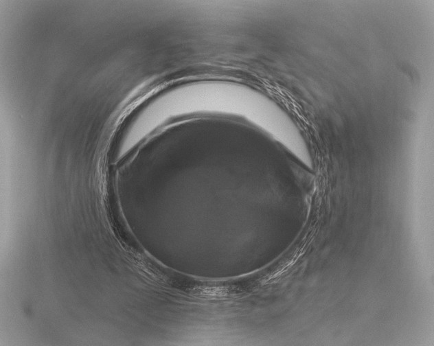 X0000116280295200912141354