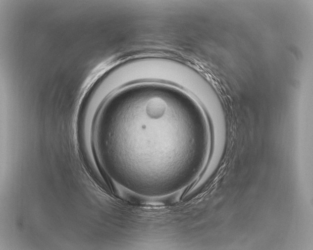 X0000116280296200912141354