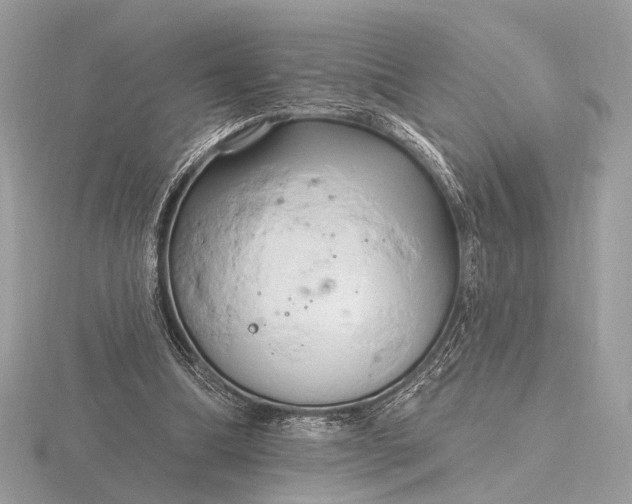 X0000116280298200912141354