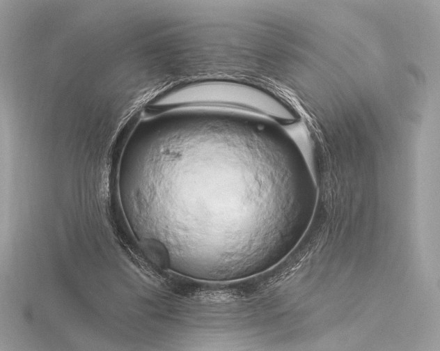 X0000116280299200912141354