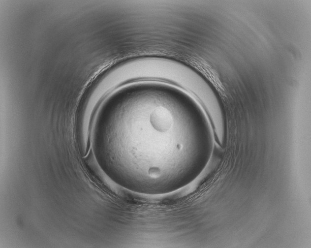 X0000116280300200912141354