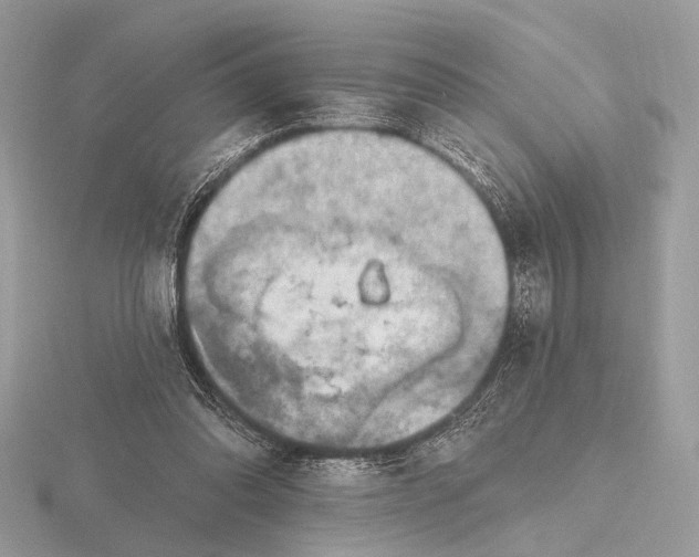 X0000116280302200912141354