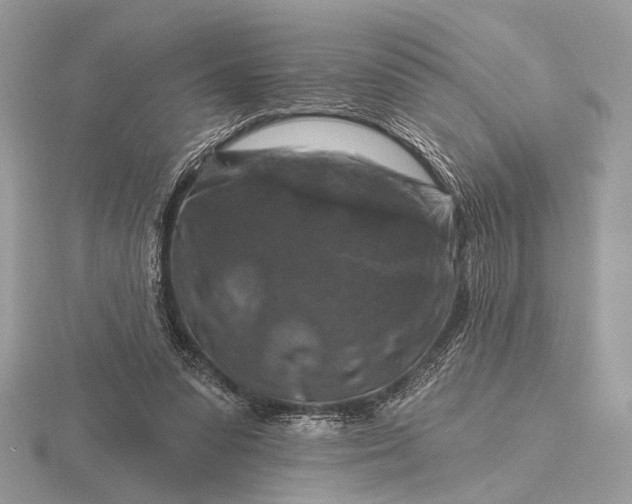 X0000116280303200912141354