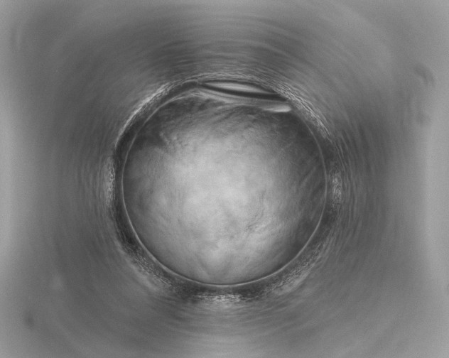 X0000116280304200912141354