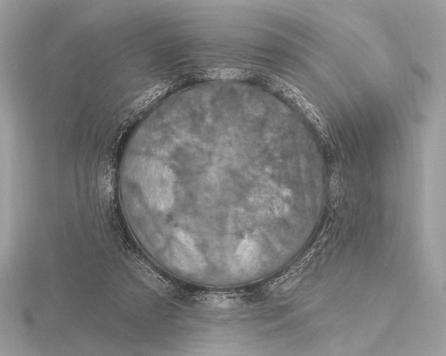 X0000116280305200912141354