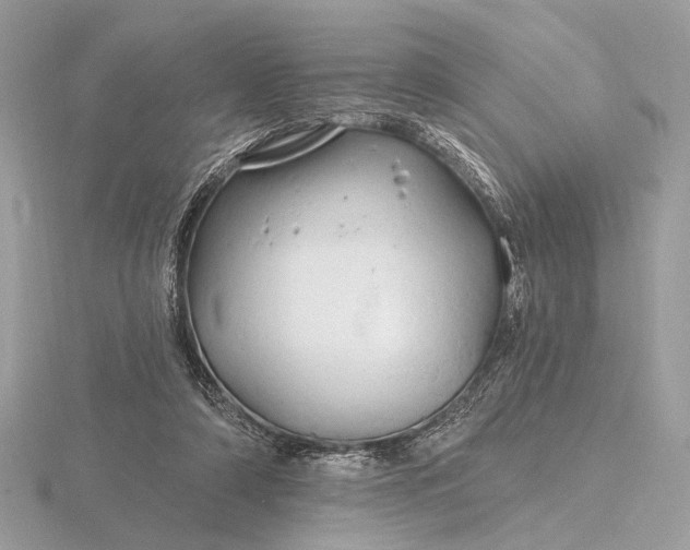 X0000116280306200912141354