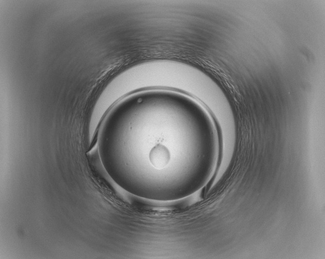 X0000116280308200912141354